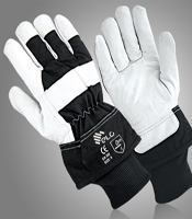 Winter Gloves -graphic
