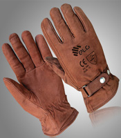 Winter Gloves -graphic